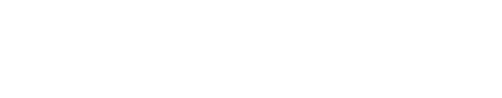 Relution